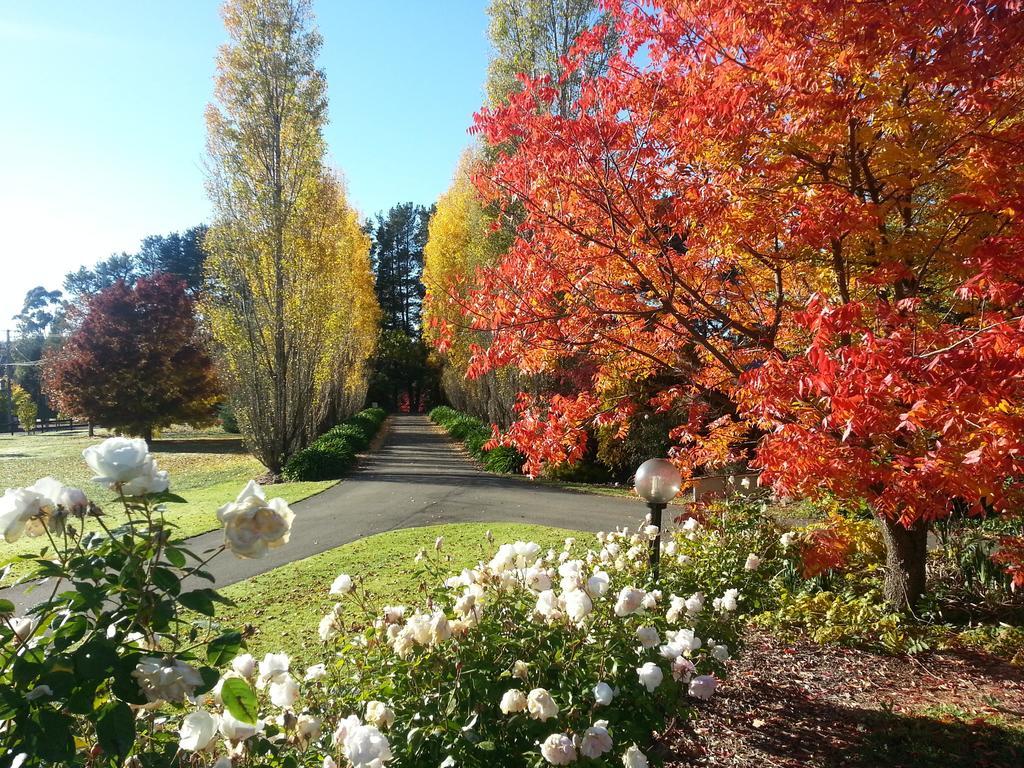 Melview Greens Orange Exterior foto